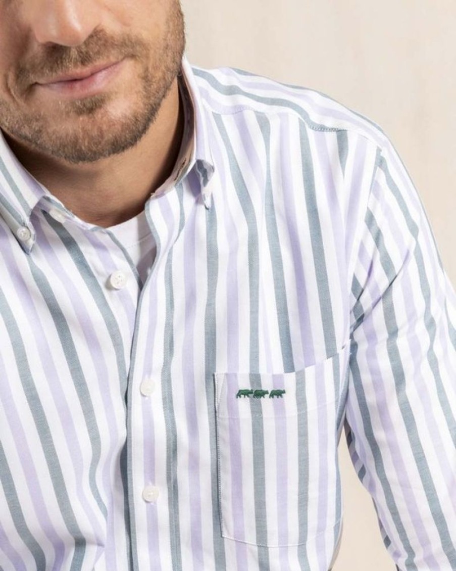 Mise au Green Chemise | Chemise A Rayures Bicolores Ray Parme